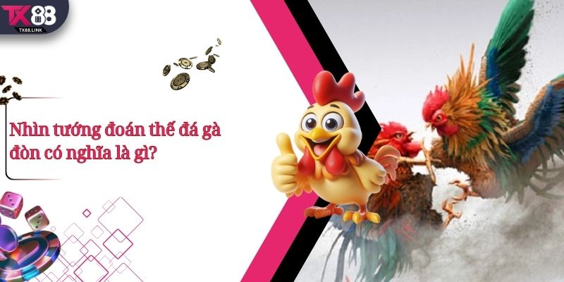 Top 5+ Thế Đá Gà Đòn Hay Và Cách Nhận Biết Cực Chuẩn 1 Nhìn tướng đoán thế đá gà đòn có nghĩa là gì?